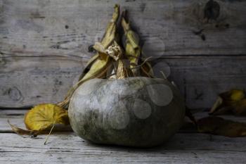 Pumpkins, Corncob and autumn leaves Decoration on a wooden table 