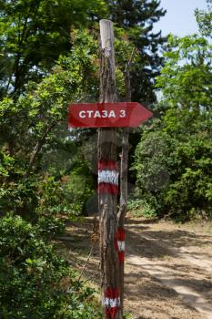 Signpost With Wooden Arrow Directional Sign In The Forest With Text In Serbian Language Meaning Trail 3