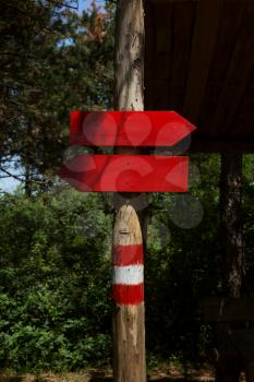 Signpost With Wooden Arrow Directional Sign In The Forest 