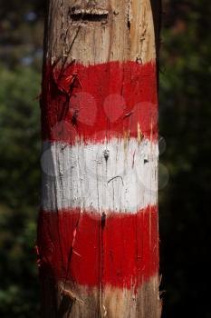 Signpost, Directional Sign With Red and White Stripes In The Forest