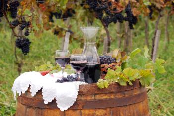 Autumn scene with red wine and grape
