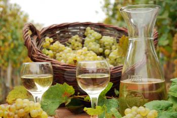 Autumn scene with white wine and grape