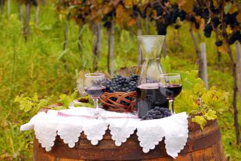 Red wine and grape in vineyard