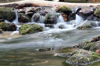 water spring scene