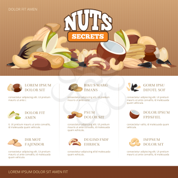 Natural raw nuts mix brochure design template. Set of nuts almond coconut cashew and peanut. Information banner about secrets nuts. Vector illustration