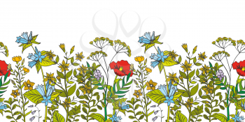 Seamless vector floral border with colored herbs and wild flowers. Herbal foliage aromatic flower and illustration organic flower seamless