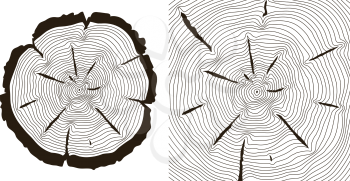 Tree growth rings, saw trunk cuts . Wooden tree rings or incision trunk of tree. Vector illustration