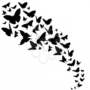 Abstract vector backdrop with butterflies design. Free butterflies in black color and flow of insect butterflies illustration