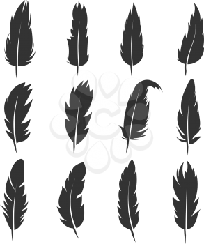 Feather, antique pen black vector icons isolated on white background. Plume for write and education illustration