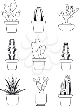 Vector hand drawn outline cactus, desert thorn tree set. Tropical plant with needle illustration