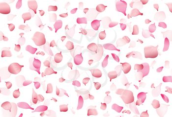 Flying pink japan sakura, cherry or rosa petals vector seamless romance pattern. Blossom sakura spring, illustration of oriental cherry sakura petals