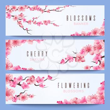 Wedding banners template with spring japan sakura, cherry blossom. Greeting invitation with sakura, illustration of japanese cherry in wedding invitation card