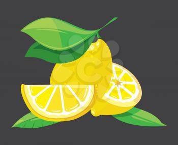 Bright lemons vector illustration. Bright citrus fresh fruit and nature organic