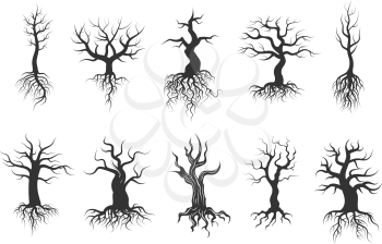 Old tree vector silhouettes with roots vector set. Black silhouette tree trunk with root, illustration of dry tree