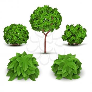 Garden bush with green leaves vector set. Green bush plant, illustration of garden tree