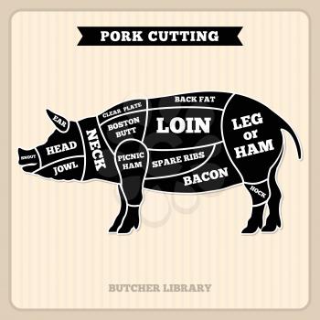 Pork, pig meat cutting vector vintage chart, cuts guide diagram. Pig cuts butcher diagram, illustration of section pig