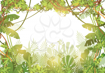 Jungle tropical background. Rainforest with tropic leaves and liana vines. Nature landscape with tropical trees. Vector illustration. Liana jungle green nature, tropical landscape forest