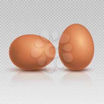 Realistic brown chicken eggs. Natural and healthy farm food vector illustration. Eggs farm natural, fresh food with shell