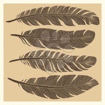 Set of grunge vintage bird feathers design isolated on background. Vector illustration