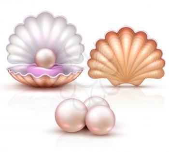 Opened and closed seashells with pearls isolated. Shellfish vector illustration for beauty and luxury concept. Shell and pearl, seashell luxury treasure