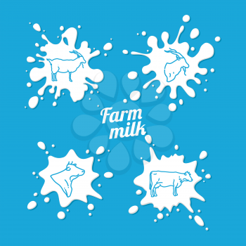 Cow and goat milk emblem - farm milk splashes with outline goat and cow. Vector illustration