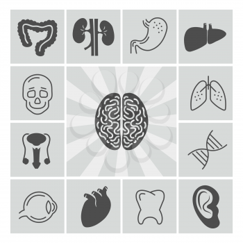 Human organs medical thin line and silhouette icons. Vector illustration