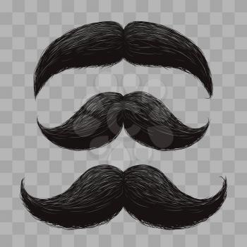 Funny retro hair mustaches isolated on transparent background. Vector illustration