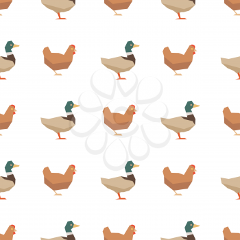 Ducks and chickens seamless pattern. Vector farm birds illustration background