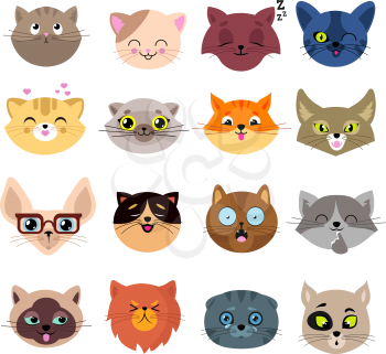 Fun cartoon cat faces. Cute kitten portraits vector set. Cartoon cats animal face illustration