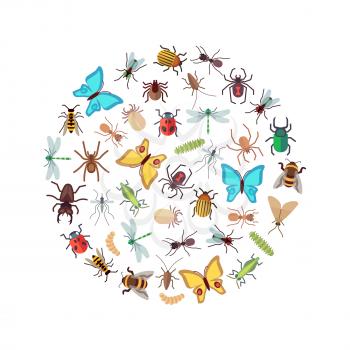 Flat insects icons round concept isolated on white background. Vector illustration