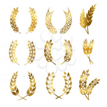 Golden rye wheat ears wreaths of set vector elements for bread and beer labels and logos isolated on white background illustration