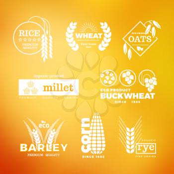 White organic wheat grain farming agriculture vector logo set illustration