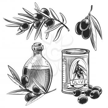 Hand drawn olive oil bottles and olives isolated on white background. Vector illustration