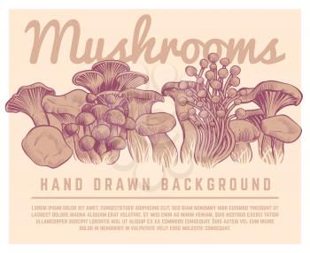 Hand drawn mushrooms background. Autumn gourmet truffles champignon oyster mushroom sketch vector illustration. Mushroom sketch organic, forest champignon autumn
