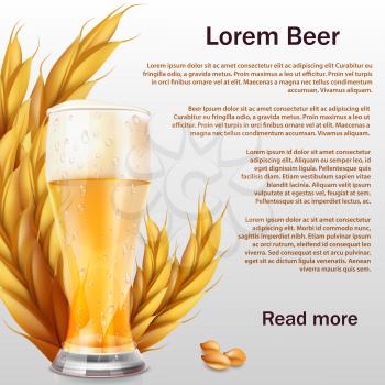 Realistic beer glass with ears of cereals vector background template. Illustration of drink alcohol and grain for brewery