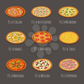 Delicious pizza icons. Pepperoni, margherita and other italian pizzas slices isolated vector illustration. Hawaiian and mushroom, restaurant menu