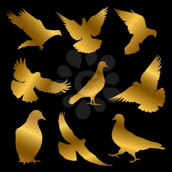 Golden dove silhouettes of set isolated on black background. Vector illustration