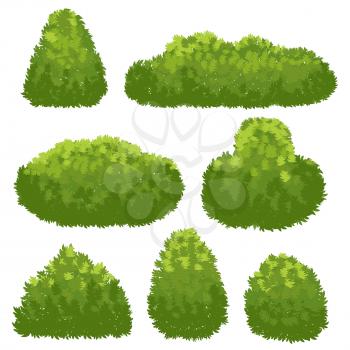 Nature hedge, garden green bushes. Cartoon shrub and bush vector set isolated on white background. Landscape plant environment, spring shrubbery for park illustration