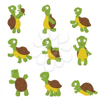Cute turtle. Green tortoise child in various poses. Vector characters isolated. Illustration of green character with shell, turtle happy