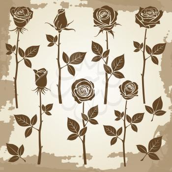 Vintage grunge rose silhouettes of set, spring buds symbols. Vector illustration