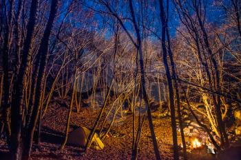 Tent illuminated with campfire light in night forest with blue sky