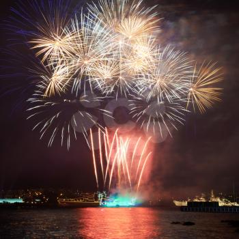 Red colorful fireworks on the black sky background