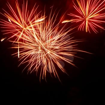 Colorful fireworks on the black sky background