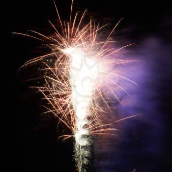 Colorful fireworks on the black sky background