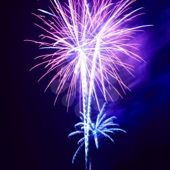 Blue colorful fireworks on the black sky background