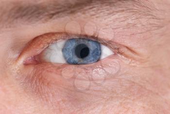 Man's blue eye. Close up macro portrait