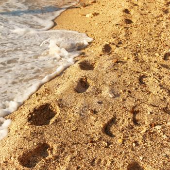 Footprints on the golden sandy tropical beach