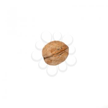 A walnut isolated on white.