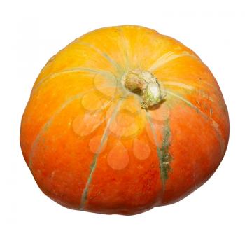 Orange pumpkin isolated on white.