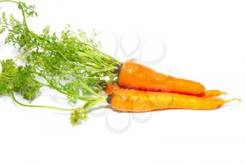 Carrots isolated on white.